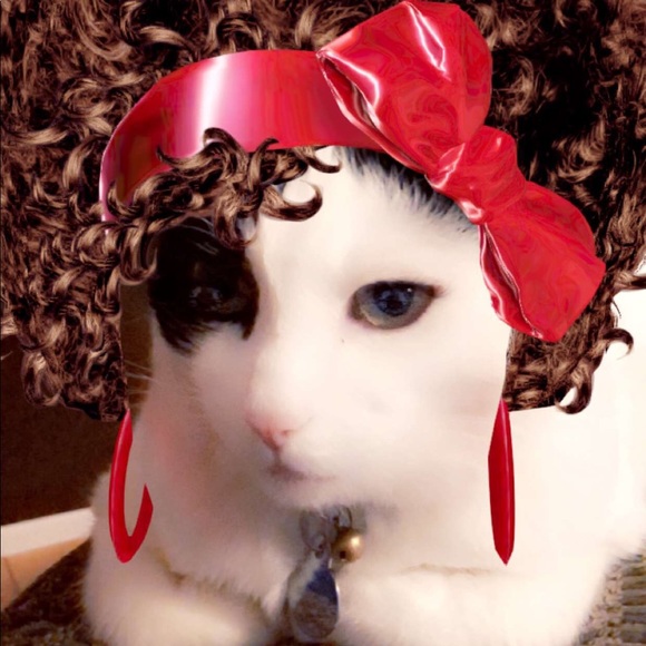 Meet your Posher, Toni - Picture 1 of 1